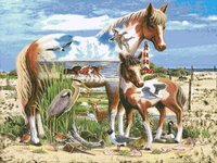 Free Spirits of The Coast.jpg