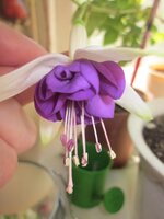 Изображение 1140.jpg