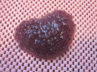 2 номинация (5).jpg