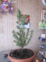 Изображение 479.jpg