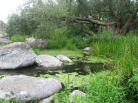 Изображение 070.jpg