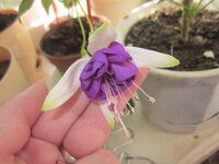 Изображение 1141.jpg