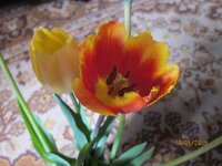 Изображение 2612.jpg