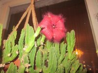 Изображение 292.jpg