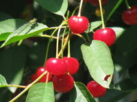 Изображение 045.jpg