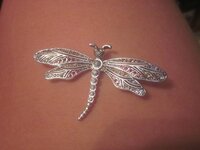 Изображение 33256.jpg