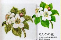 Fujico Apple Blossom.jpg