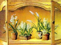 ecx51432 Гиацинты на полке.jpg