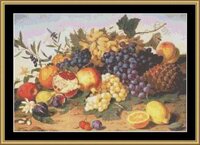 MS PF-40 Fruit Still.jpg