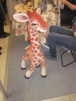 Изображение 1818.jpg