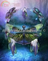 HAECCC 1674 Spirit of The Dragonfly.jpg