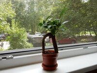 2016-08-21 12-02-48.jpg