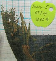 Изображение 354.jpg