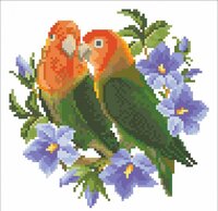 два волнистых попугайчика.jpg