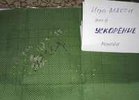 котик от Дим. Ускорение.jpg