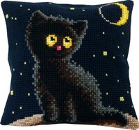 Чаривна мить - РТ-160.jpg