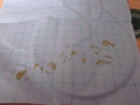 катюшенька - 01.JPG