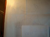 чишка полёт.jpg