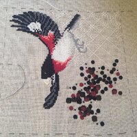 2014-08-24 14-39-13.jpg