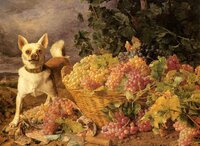 dog by basket of grapes.JPG