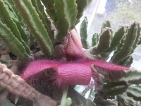 Изображение 2865.jpg