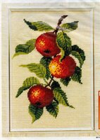 яблоки карт1jpg.jpg