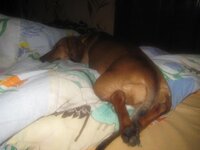 IMG_1169 - копия.jpg