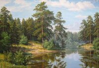 Сосны на берегу.jpg