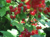 Изображение 046.jpg