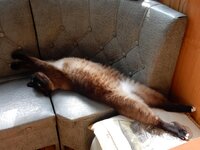 2014-06-22 10-33-20.jpg