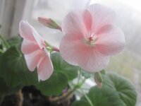 Изображение 507.jpg