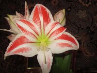 Изображение 1689.jpg