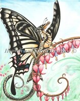 the swallowtail.jpg
