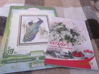 Изображение 870.jpg