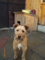 Изображение 176.jpg