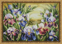Ирисы.jpg