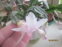 Изображение 840.jpg