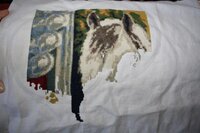 Изображение 528.jpg