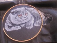 Изображение 758.jpg