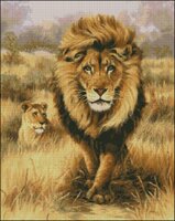 Не пара от Ющук (PM).jpg