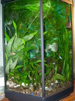 Изображение 160.jpg