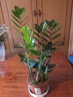 Изображение 1546.jpg