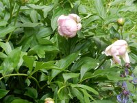 2016-06-14 13-34-28.jpg