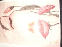 Изображение 298.jpg