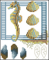 ракушки коллаж просто.jpg