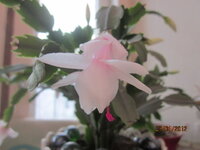 Изображение 32544.jpg