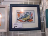 Изображение 986.jpg