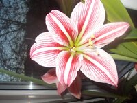 Изображение 287897.jpg