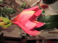 Изображение 1676.jpg