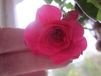 Изображение 1544.jpg